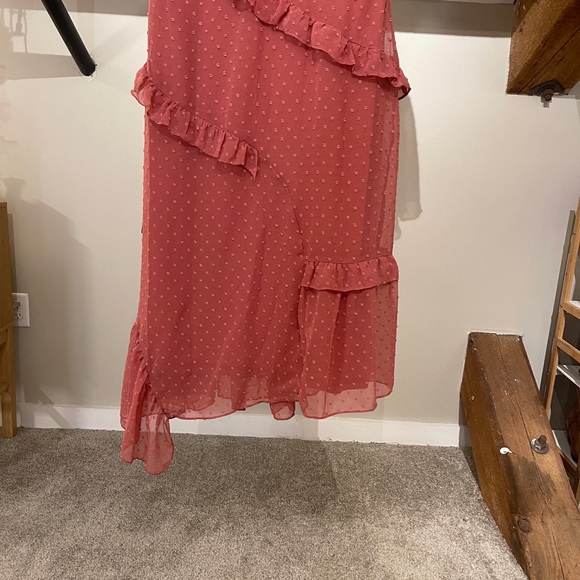 Rusty Rose Swiss Dot Ruffled Mini Dress - Picture 7 of 10